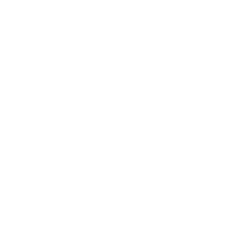 Ray's on the River
